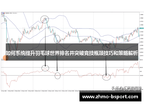 如何系统提升羽毛球世界排名并突破竞技瓶颈技巧和策略解析