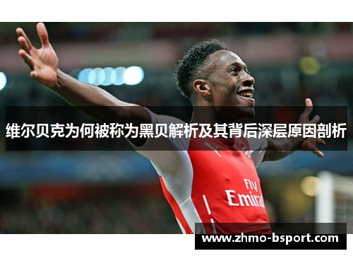 维尔贝克为何被称为黑贝解析及其背后深层原因剖析