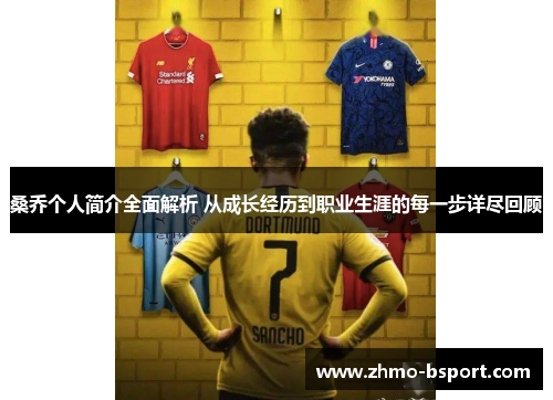 桑乔个人简介全面解析 从成长经历到职业生涯的每一步详尽回顾